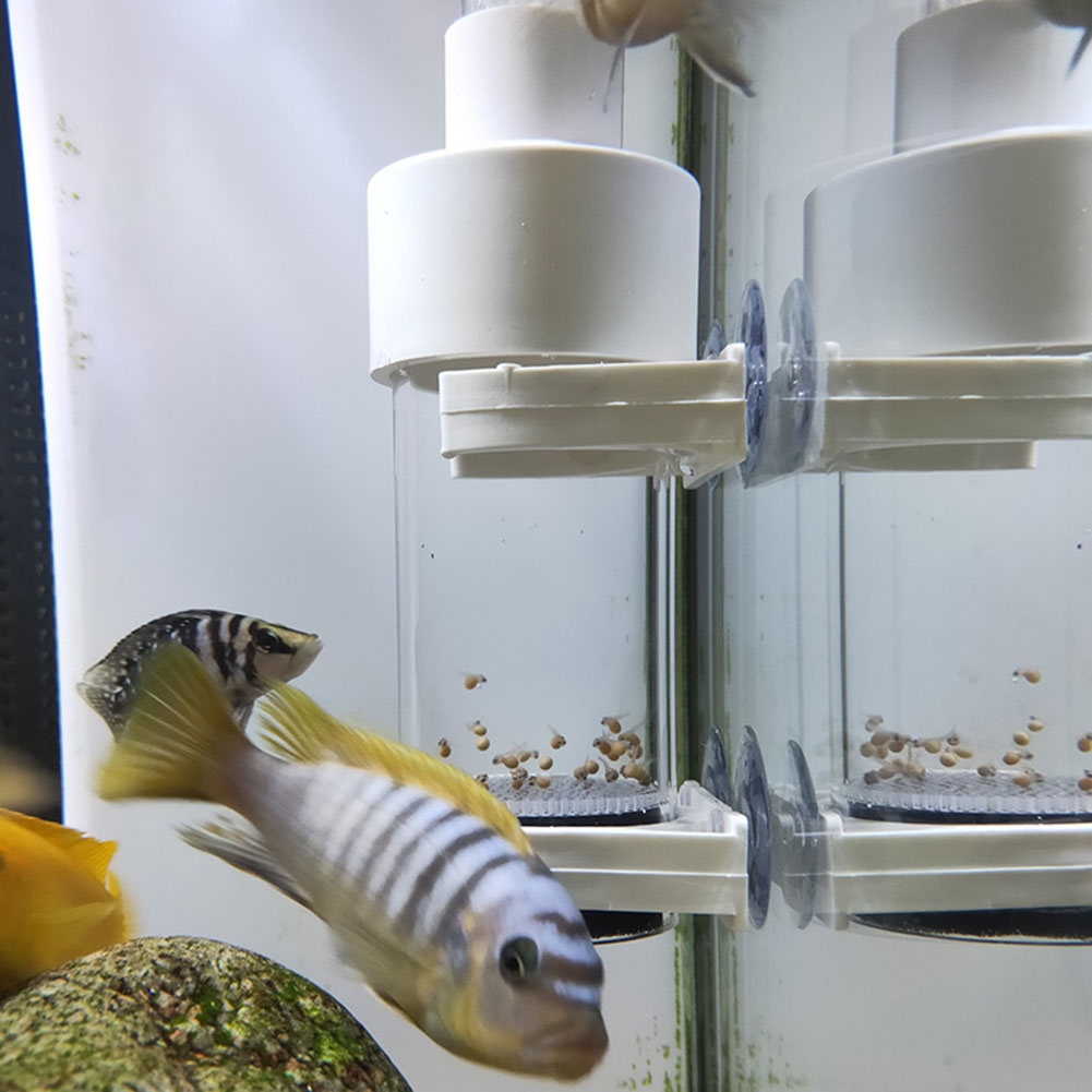 Aquarium Fish Cichlid - Инкубатор-тумблер для аквариумных рыбок 40 мм: