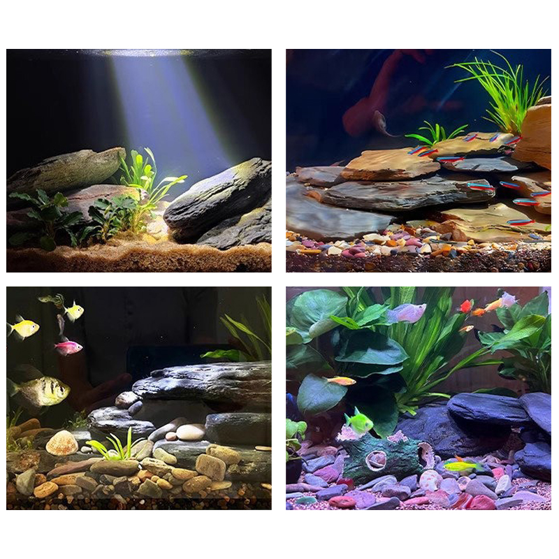 Набор камней для аквариума 500 – обзор и цена Aquarium Fish Guppy