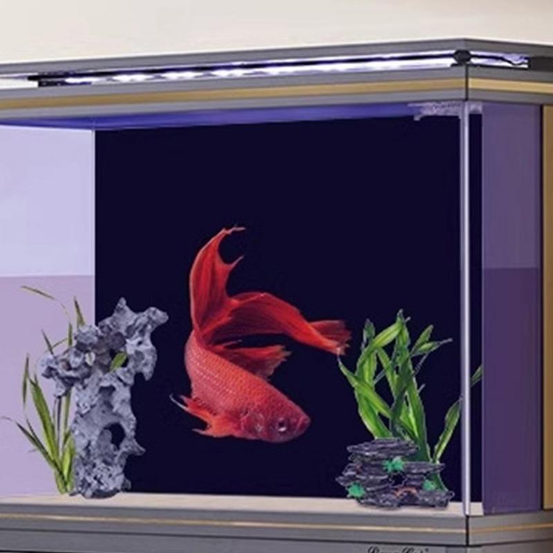 Черный аквариум, фоновые обои, – обзор и цена Aquarium Fish Poster