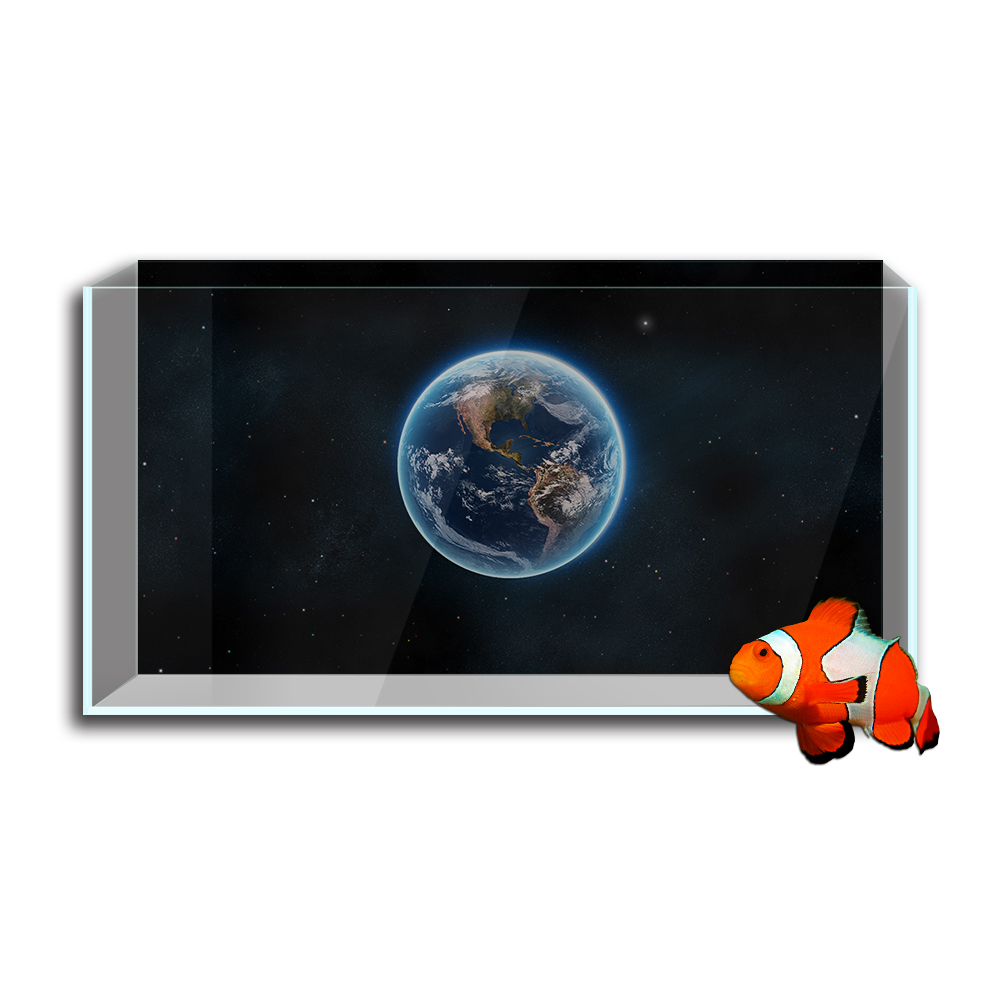 Аквариумный аквариумный фон-на – обзор и цена Aquarium Fish Poster
