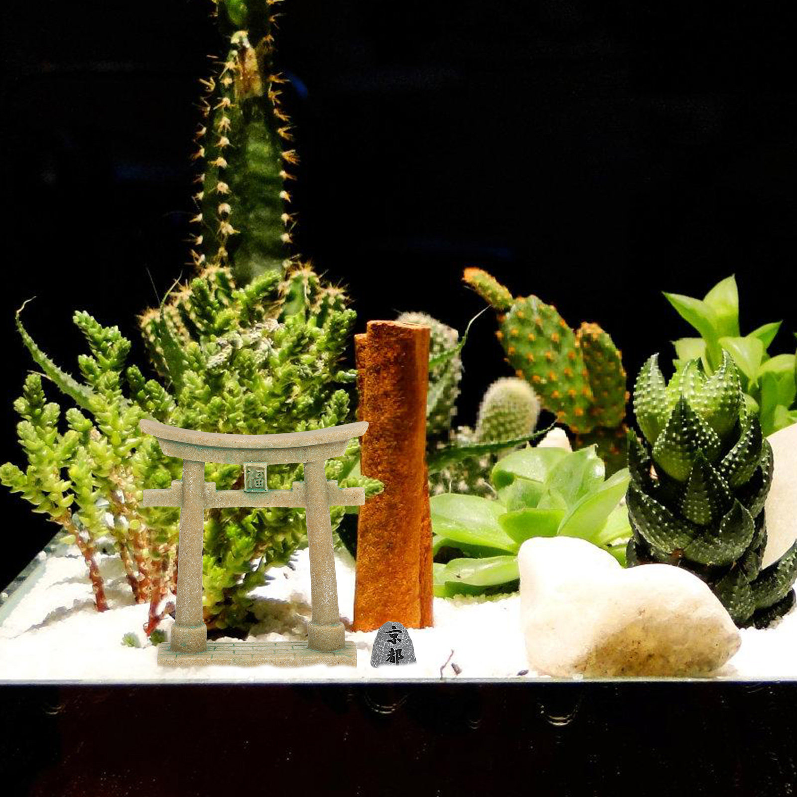 Миниатюрные японские ворота То – обзор и цена Aquarium Fish Japanese