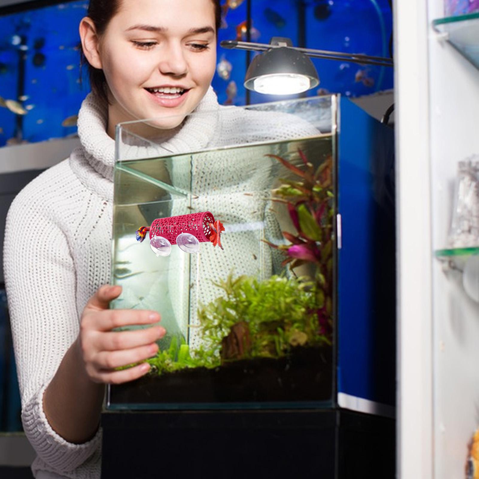Уютное убежище-туннель для рыб – обзор и цена Aquarium Fish Cichlid