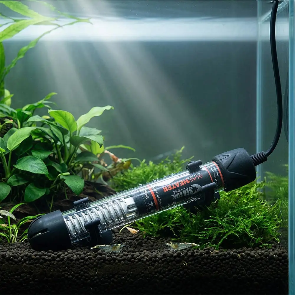 Регулируемый аквариумный нагре – обзор и цена Aquarium Fish Cold Water