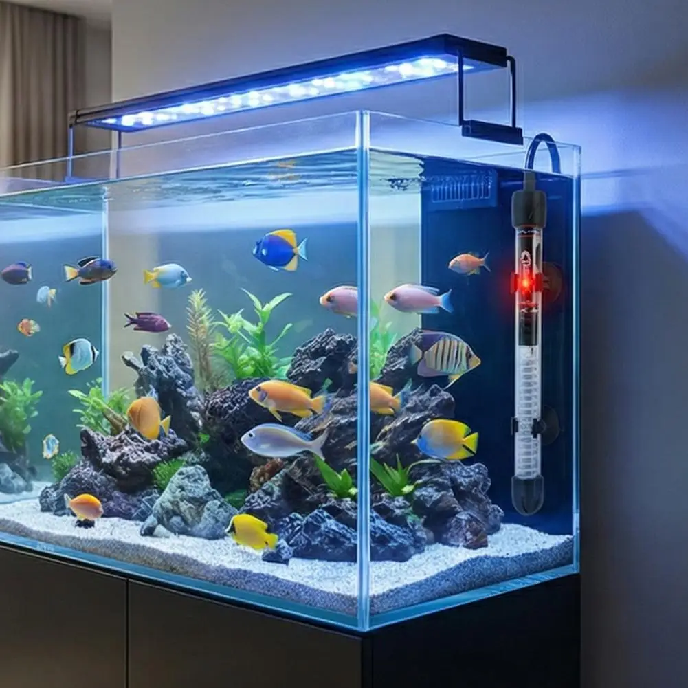 Регулируемый аквариумный нагре – обзор и цена Aquarium Fish Cold Water