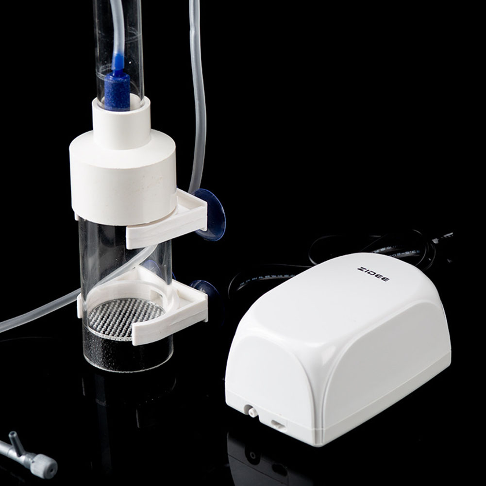 40 мм стакан-инкубатор, инкуба – обзор и цена Aquarium Fish Cichlid