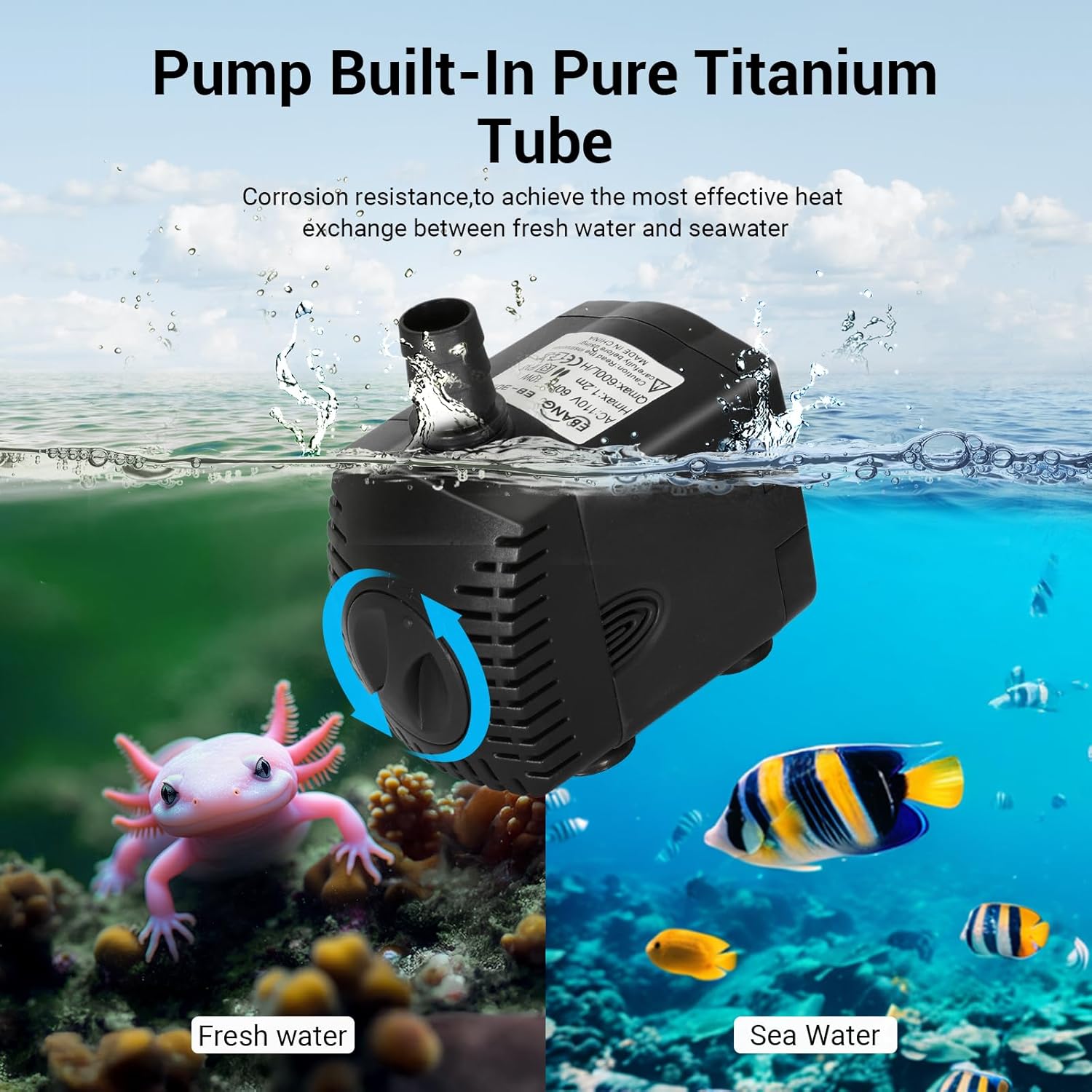 Аквариумный охладитель 79 галл – обзор и цена Aquarium Fish Cold Water