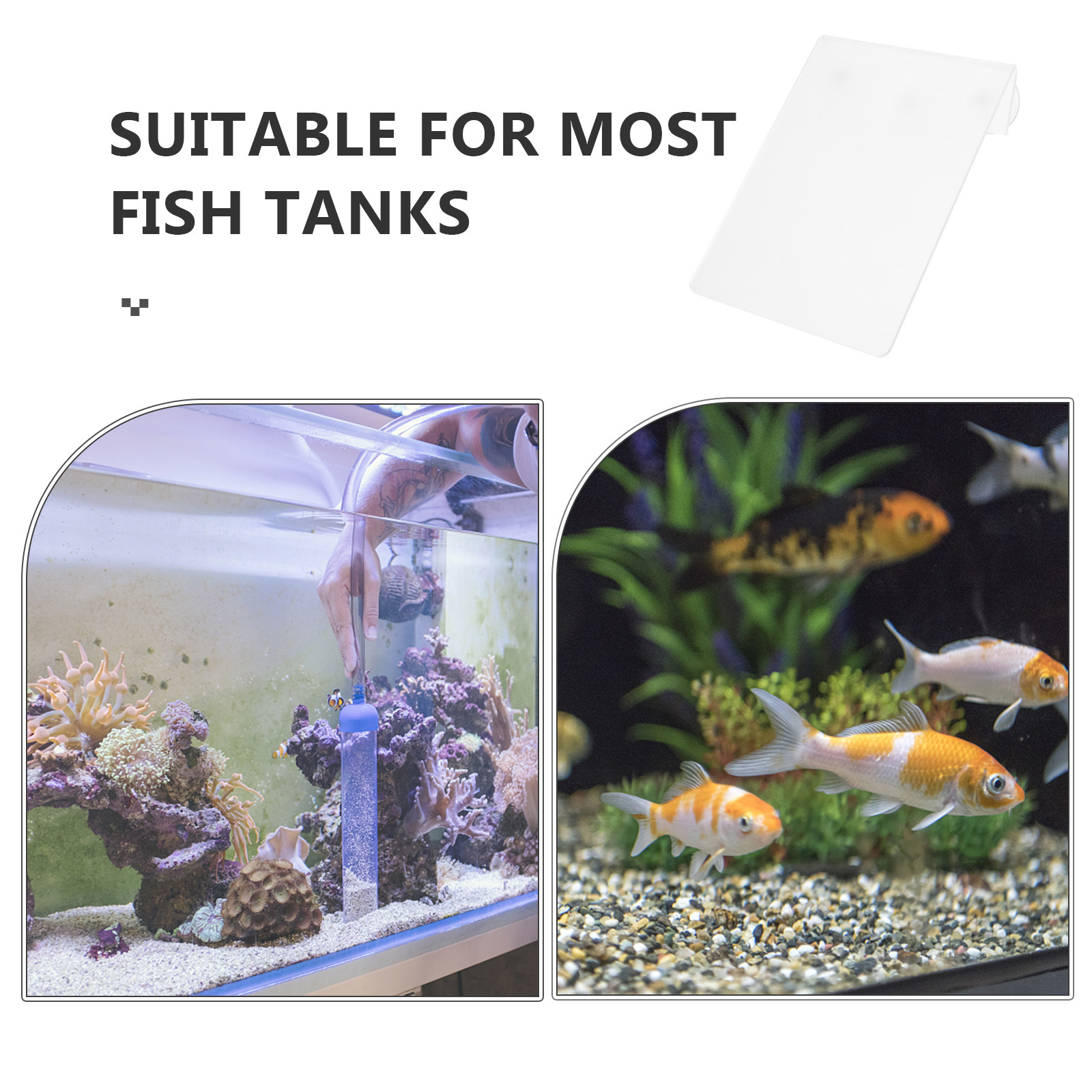 Съемный легкий акриловый диск  – обзор и цена Aquarium Fish Discus