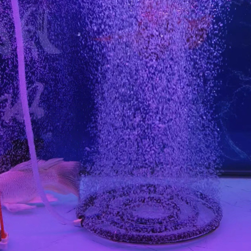 Диск-аэратор из нержавеющей ст – обзор и цена Aquarium Fish Discus