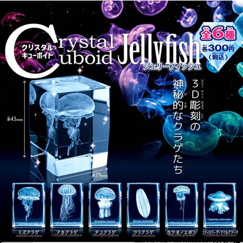 Японская Медуза гасяпон, 3D кр – обзор и цена Aquarium Fish Japan