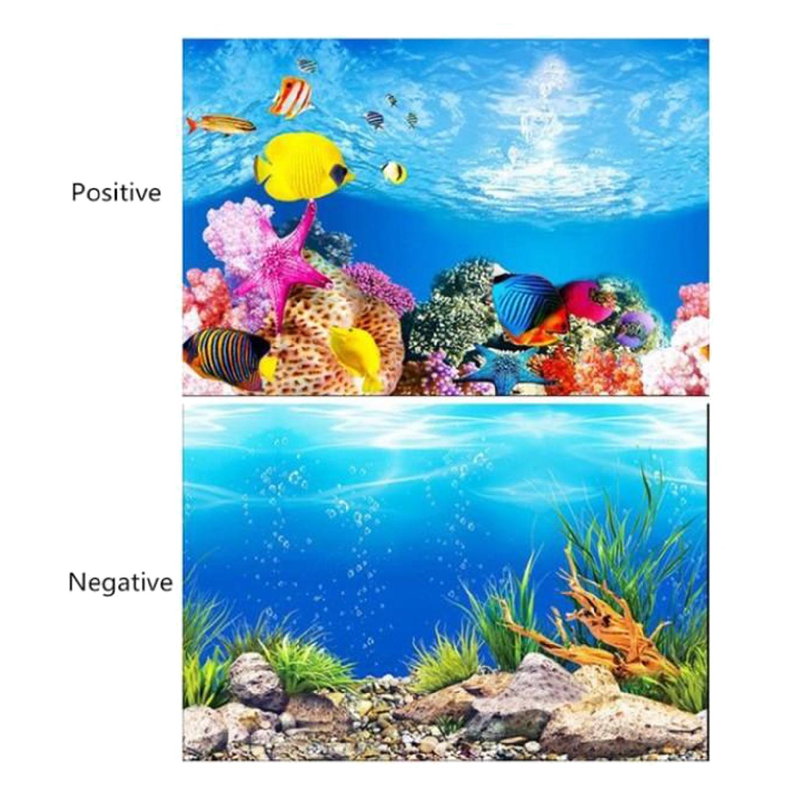 3D-постер для аквариума с эффе – обзор и цена Aquarium Fish Poster