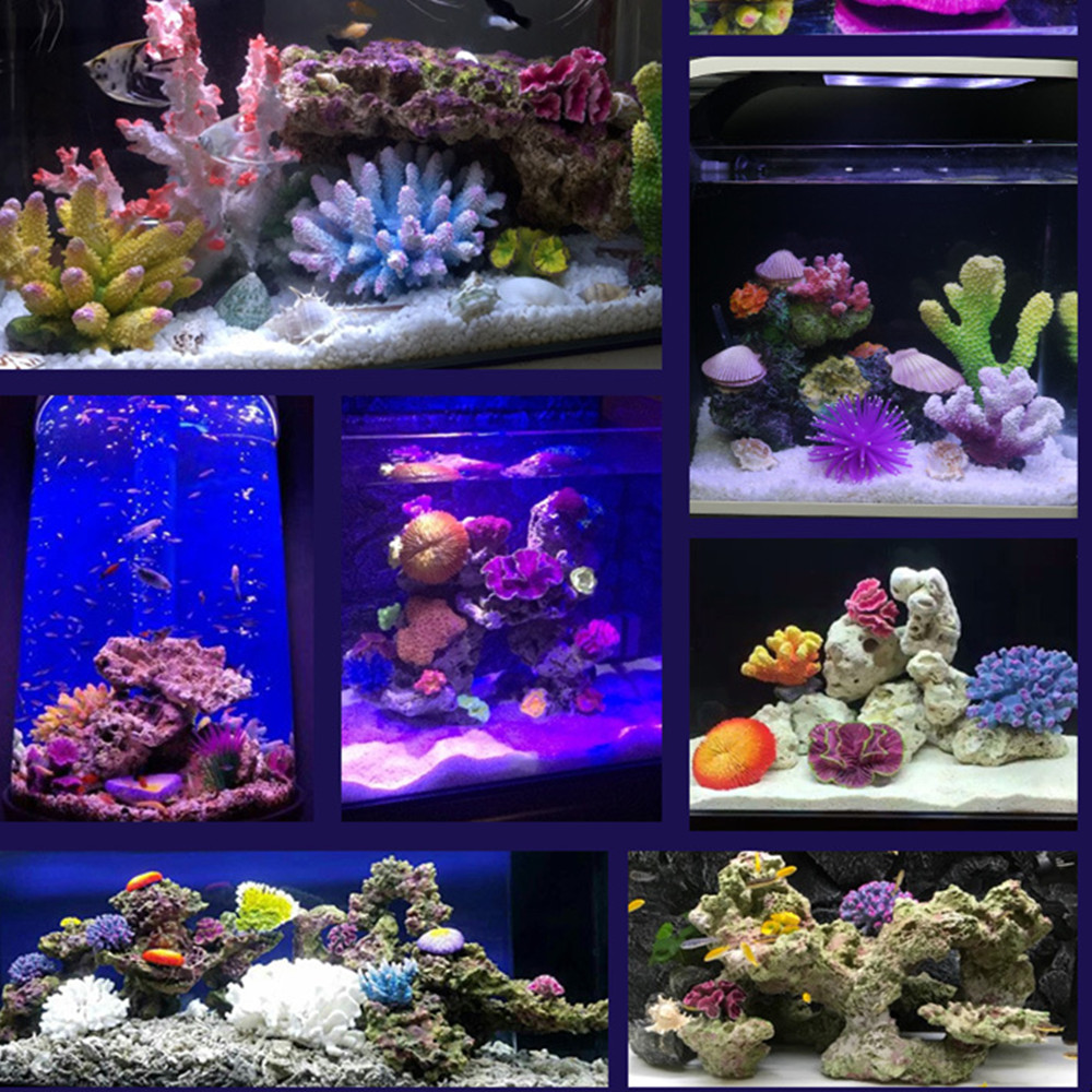 Новая искусственная Смола Кора – обзор и цена Aquarium Fish Discus