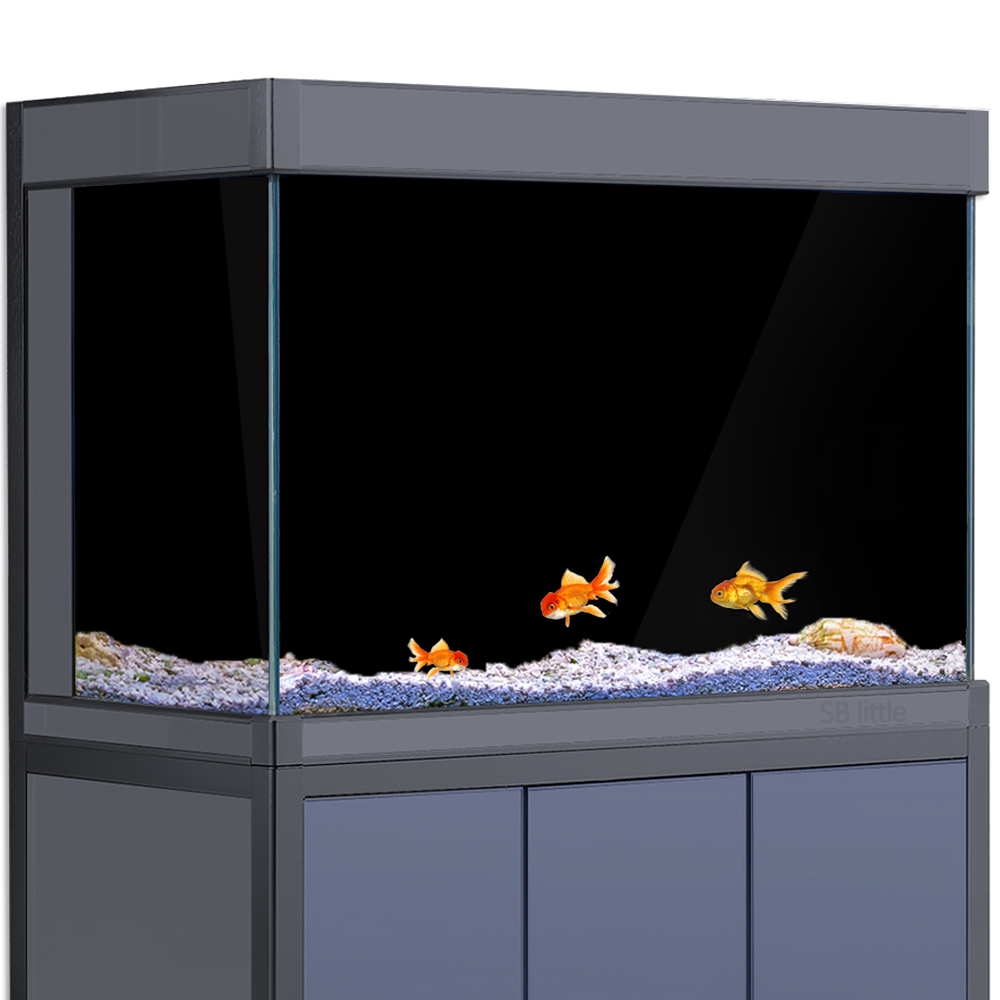 Фон для аквариума на статическ – обзор и цена Aquarium Fish Poster