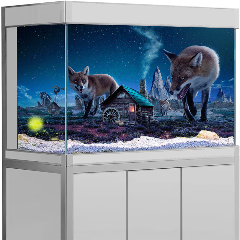 Наклейка-фон для аквариума: Ми – обзор и цена Aquarium Fish Poster