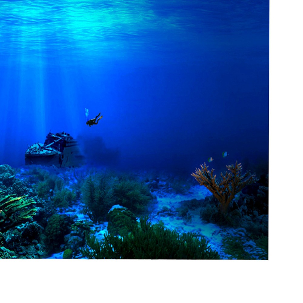 Фон для аквариума из ПВХ, пост – обзор и цена Aquarium Fish Poster