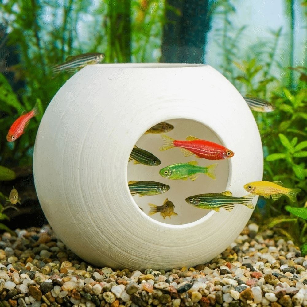 Пластиковая скрытая пещера для – обзор и цена Aquarium Fish Discus