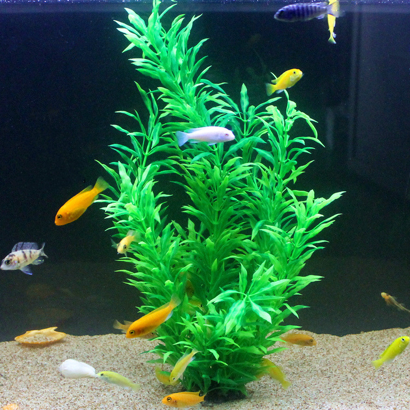 50 см искусственный аквариум р – обзор и цена Aquarium Fish Guppy