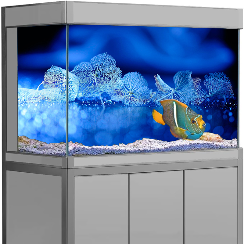 Декор для аквариума, наклейка  – обзор и цена Aquarium Fish Poster