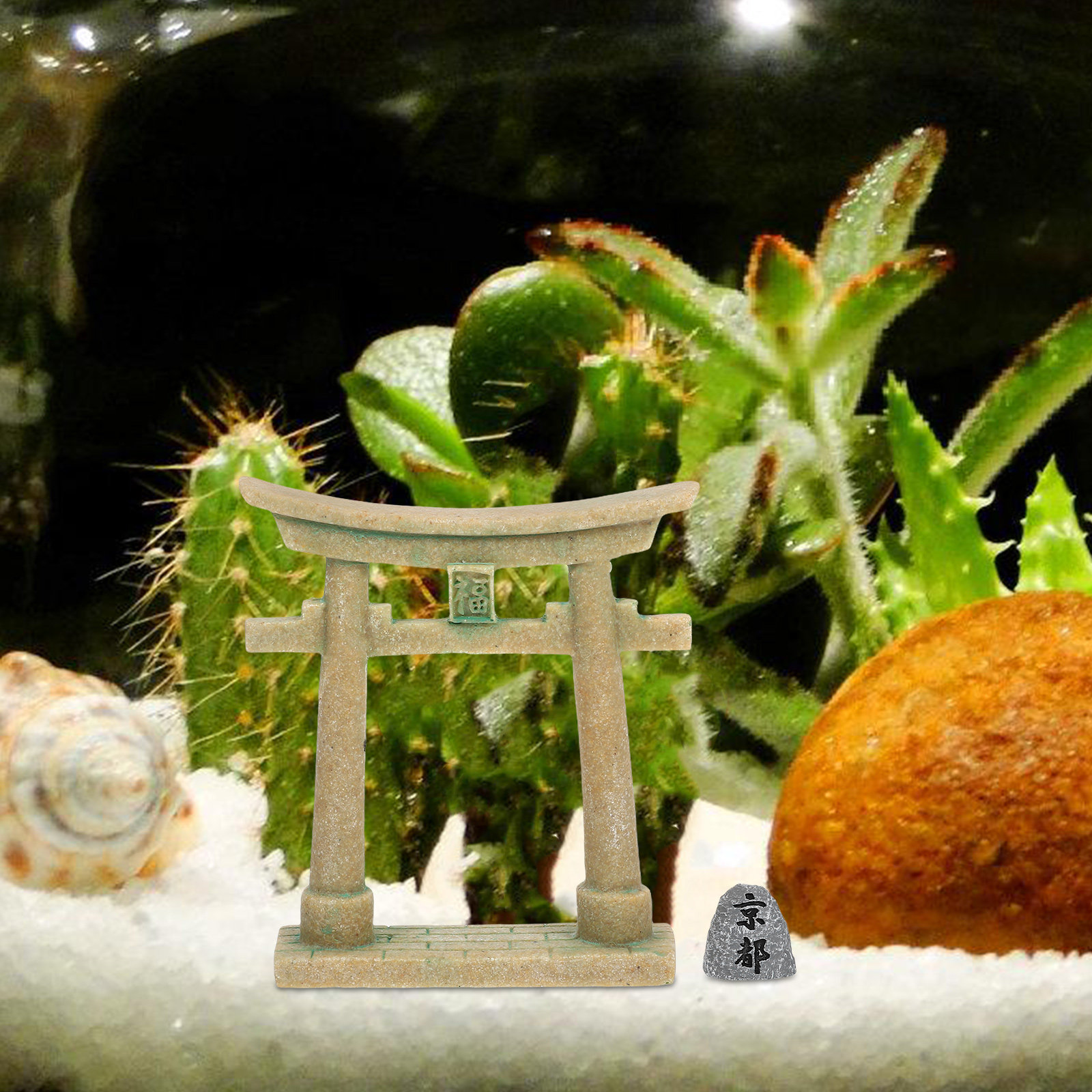 Миниатюрные японские ворота То – обзор и цена Aquarium Fish Japanese