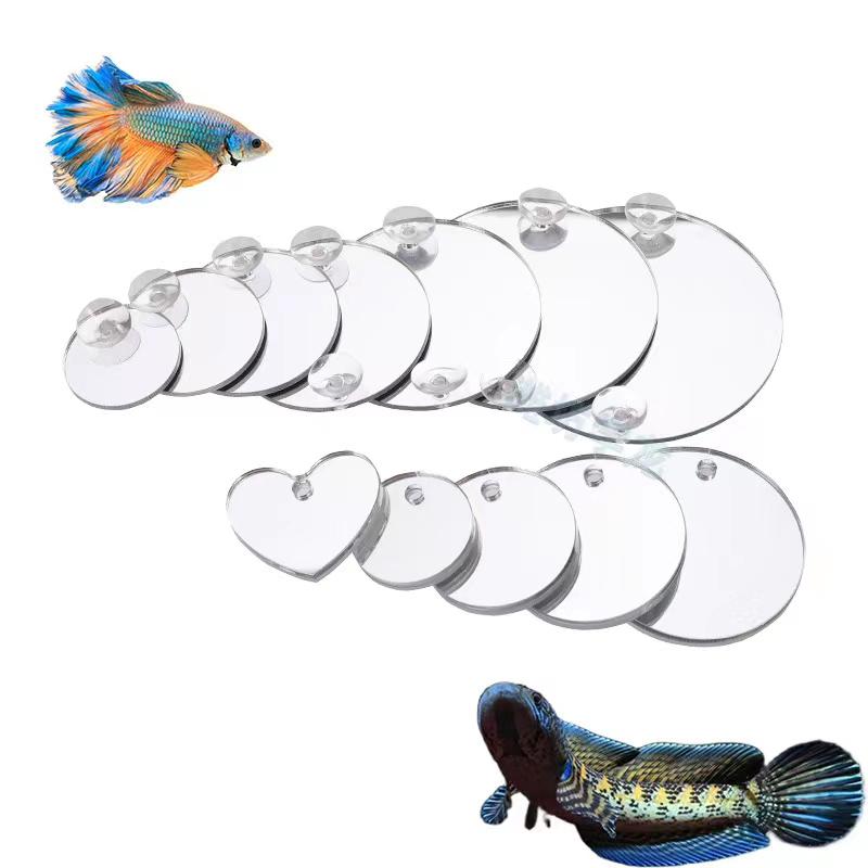 Аквариум Бетта Зеркало Аквариу – обзор и цена Aquarium Fish Cichlid
